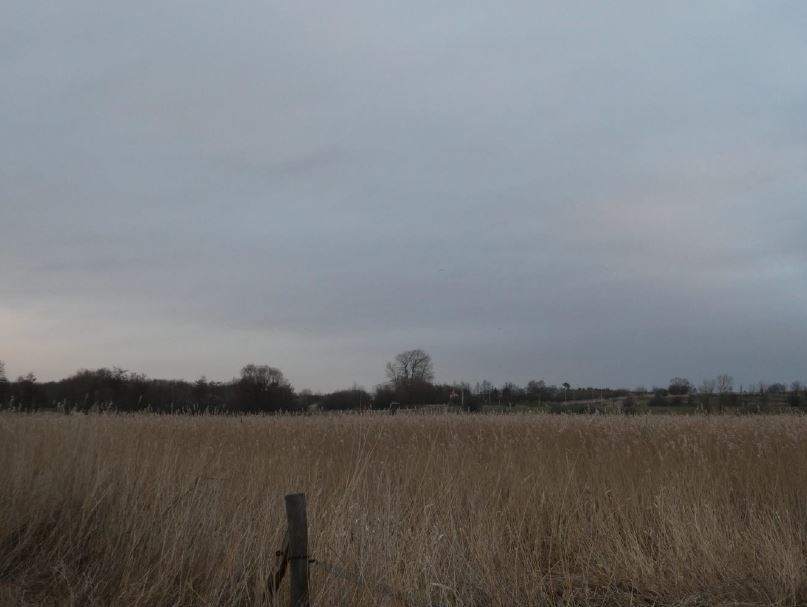 Foto 2 Før viser sigtelinje uden visualisering af telemast set fra stien der går i forlængelse af Højvang, hvor stien krydser åen.