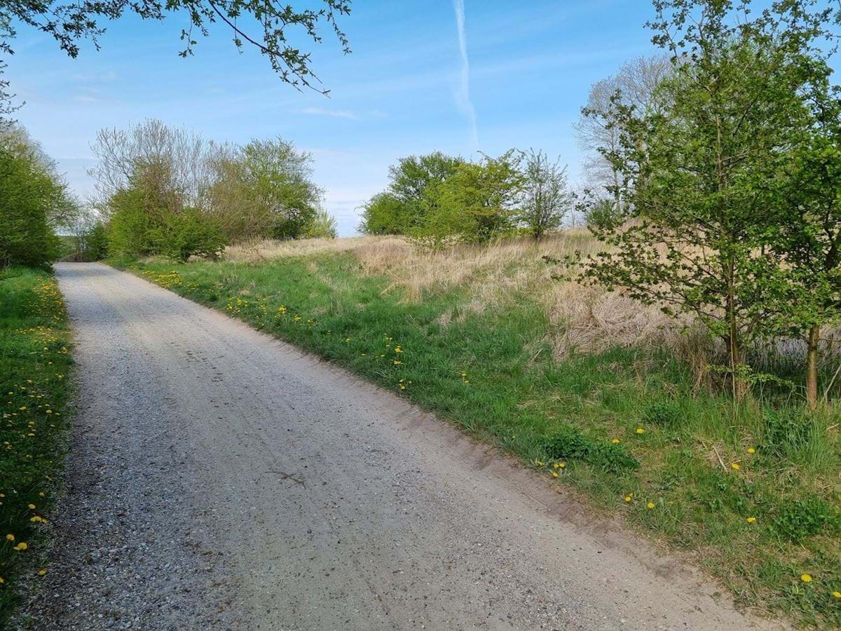 Foto af lokalplanområdet