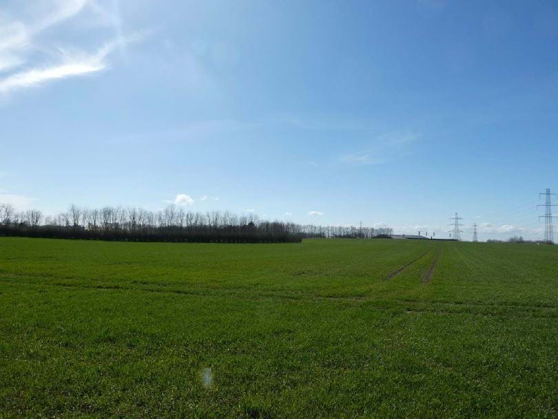 Før visualisering set fra Manderupvej i en afstand af ca. 380 m