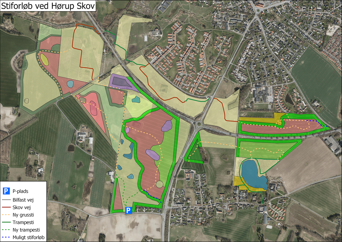 Billedet viser Naturstyrelsens plan for stisystemer i Hørup Skov