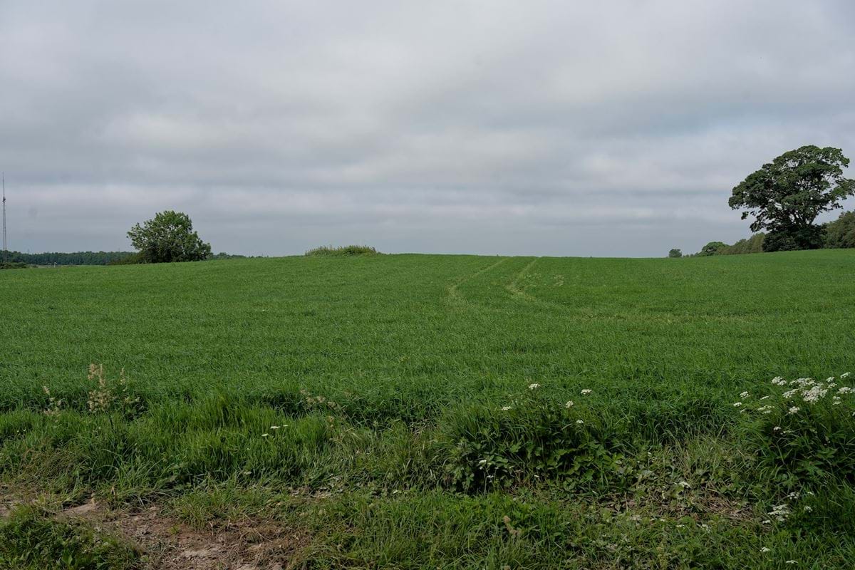 Standpunkt 2 Eksisterende Forhold