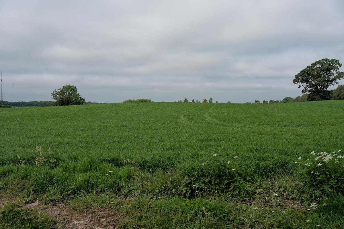 Standpunkt 2 Visualisering